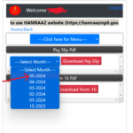 Hamraaz Payslip 2024